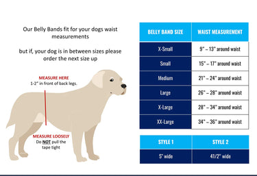 Jack & Jill Male Dog Belly Band Wrap